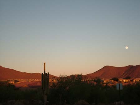 images/caffeaugust04_003_big.jpg